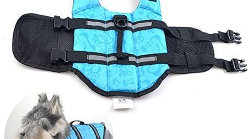 小型制冷设备定制，价格如何？揭秘定制背后的考量**