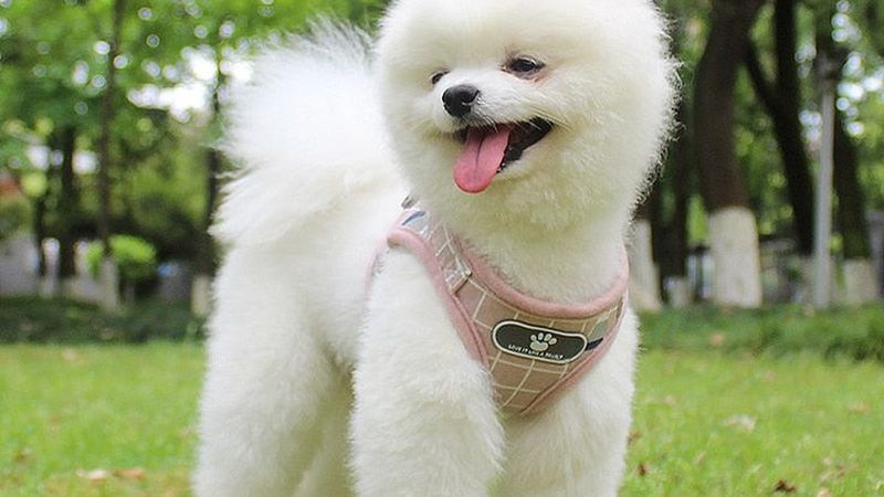 小型冷库选型：性价比高的关键考量**